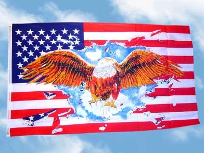 Flagge USA Adler NEU 90 x 150 cm Flaggen Fahne 